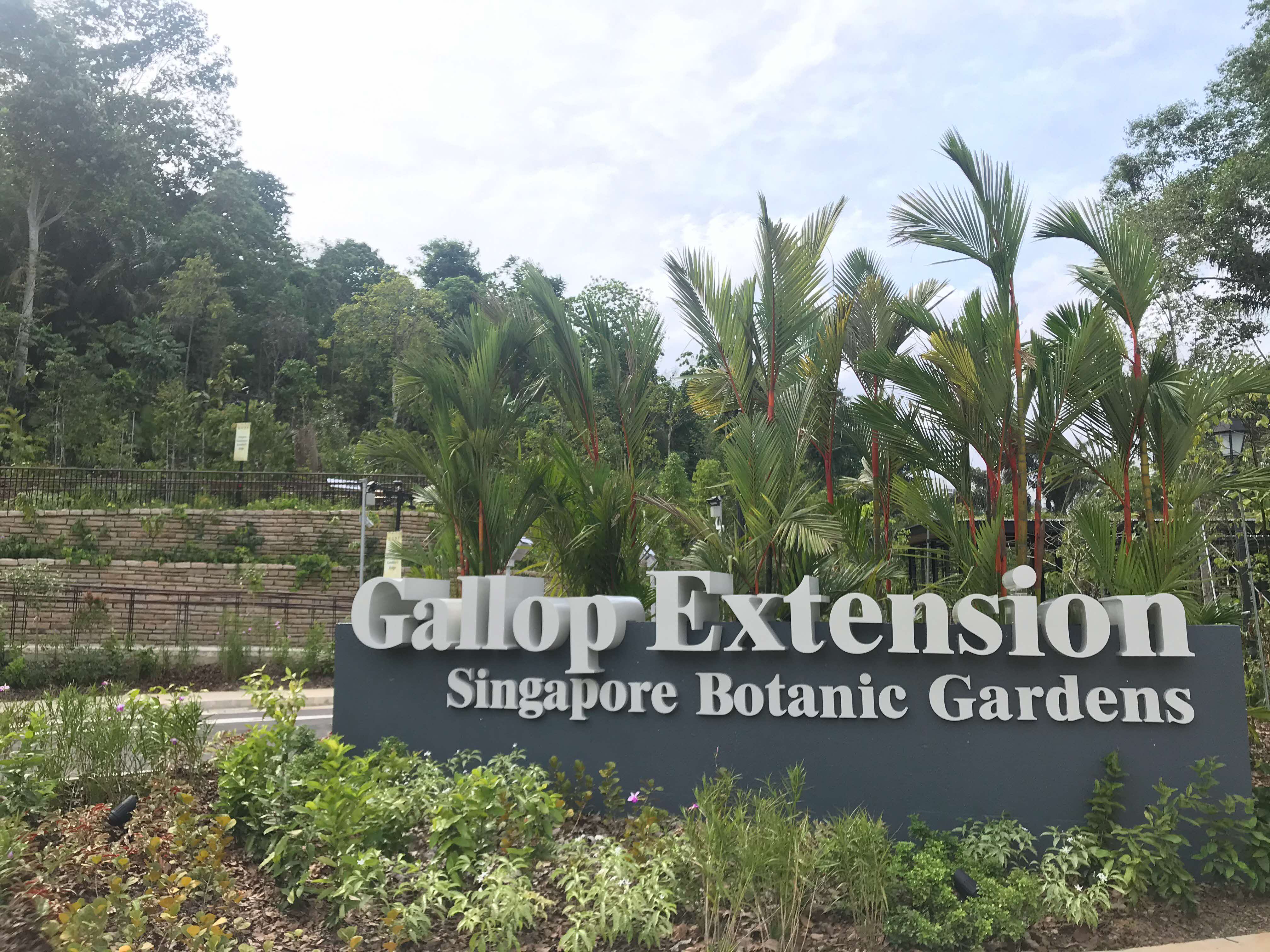 Gallop Extension